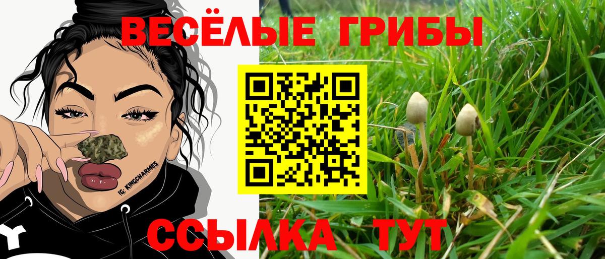 Кингисепп  Псилоцибиновые грибы ЛСД  Вход с VPN 