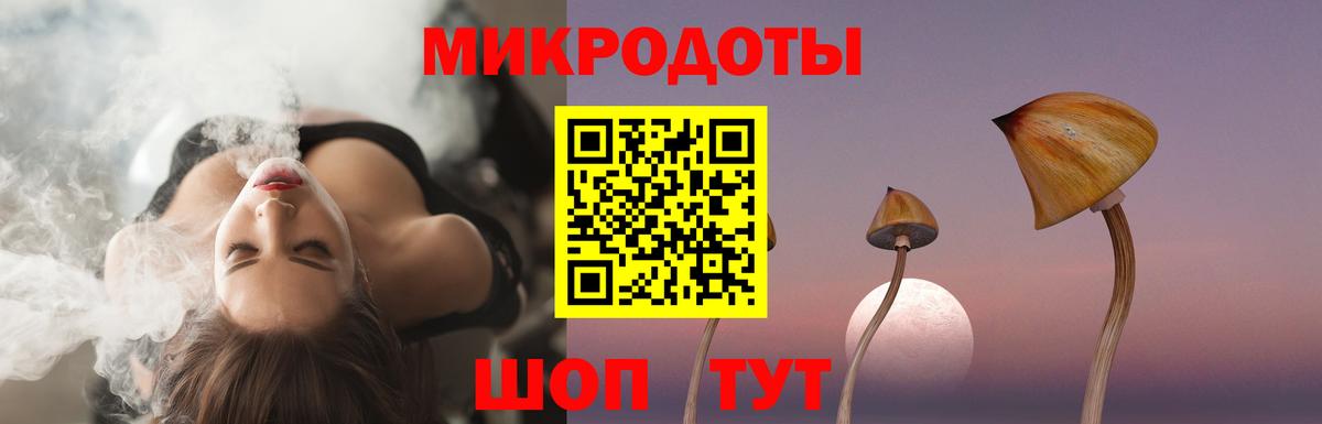 Галлюциногенные грибы MAGIC MUSHROOMS Кингисепп